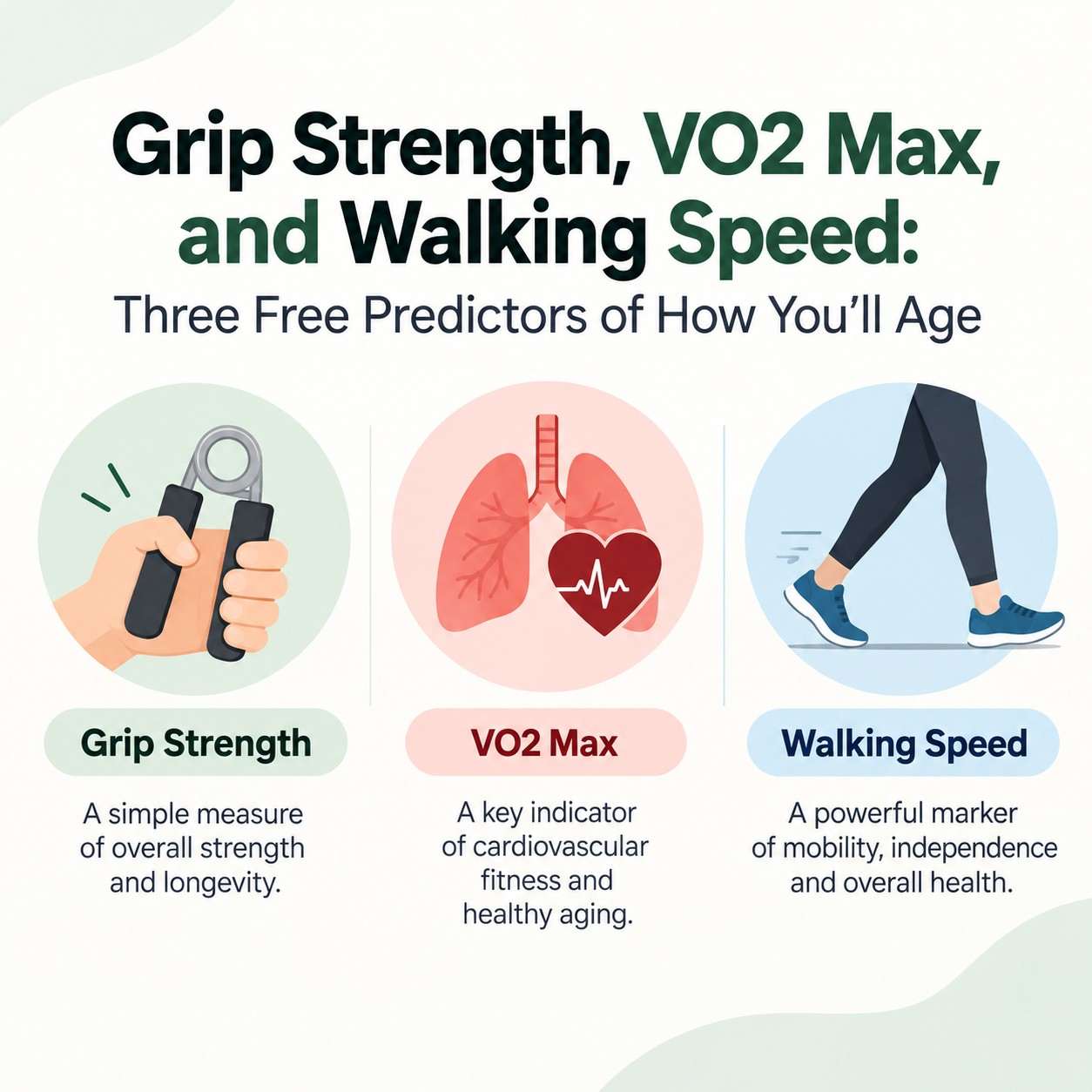 Grip Strength, VO2 Max, and Walking Speed: Three Free Predictors of How You'll Age